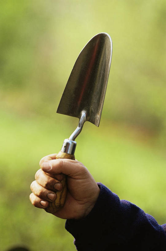 手,一个人,家庭,竖图,室外,特写,白天,园艺,图像,设备,物品,一个,自然,温暖,温馨,一家人,人体,摄影,单个,和睦,人造,主题,泥铲,构图,休闲活动,彩图,时空,融洽,对焦,家务劳动