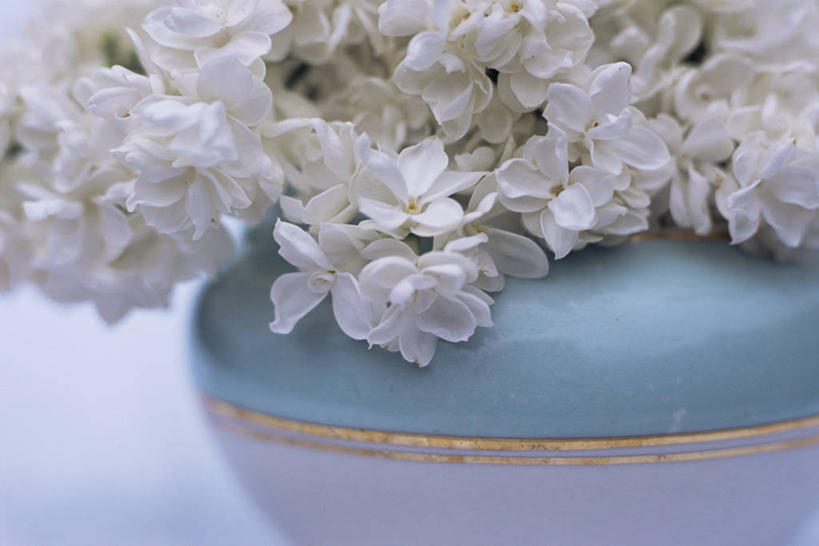 无人,横图,特写,美景,植物,丁香花,静物,花瓶,景观,花,自然,花束,景色,摄影,清新,自然风光,影棚拍摄