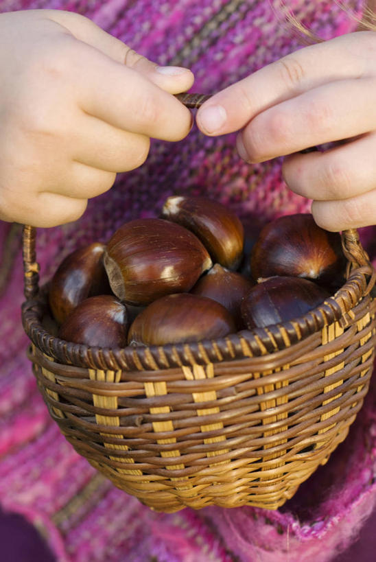 西方人,儿童,手,一个人,竖图,室外,特写,白天,留白,纯洁,农业,农作物,美景,欧洲,欧洲人,仅一个女性,仅一个人,朦胧,模糊,篮子,景观,园艺,栗子,生食,食品,坚果,褐色,织物,饮品,拿着,设备,饮食,物品,食物,饮料,小孩,自然,仅一个小孩,景色,可爱,童年,童趣,人体,摄影,生活方式,柳条,可口,清新,自然风光,选择,童真,烂漫,无邪,收集,适口,天真,女孩,女人,女性,白种人,孩子,彩图,女生,对焦,机织物,坚果壳