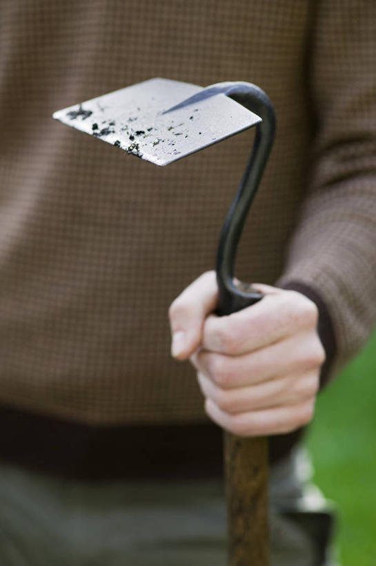 成年人,手,一个人,竖图,室外,特写,白天,留白,美景,仅一个男性,朦胧,模糊,金属,木制,景观,园艺,拿着,设备,物品,自然,把手,景色,人体,摄影,生活方式,锄头,自然风光,柔焦,男人,彩图,全画面,全框架,全帧,全画幅,对焦