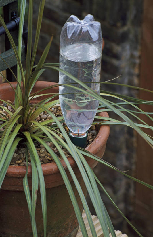 无人,家庭,竖图,室外,特写,白天,懒惰,美景,植物,花盆,盆栽,塑胶,景观,水瓶,浇水,自然,瓶子,职业,温暖,温馨,一家人,陶器,景色,摄影,环境,和睦,关爱,自然风光,循环利用,环境保护,彩图,融洽,家务劳动