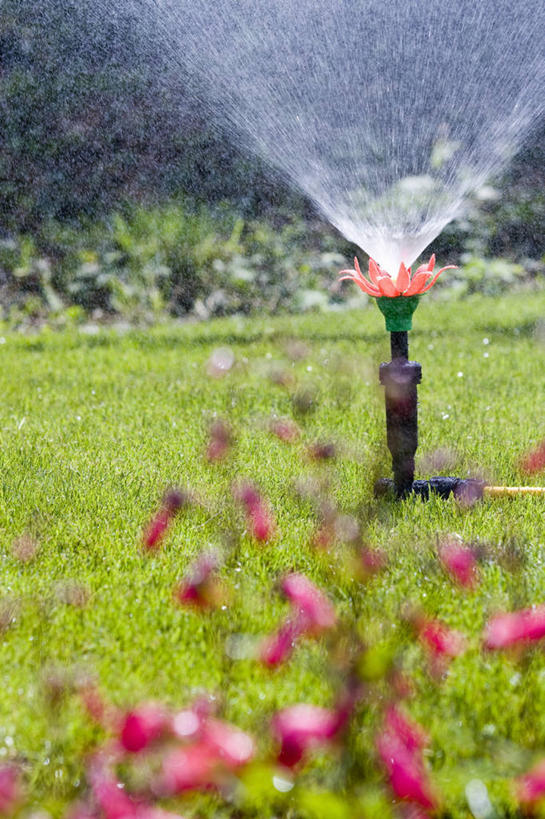 无人,竖图,室外,特写,白天,留白,草坪,美景,植物,喷,飞溅,景观,园艺,设备,浇水,物品,草,花,花瓣,粉色,红色,绿色,自然,夏天,景色,摄影,软管,关爱,清新,自然风光,柔焦,洒水机,彩图,割,对焦