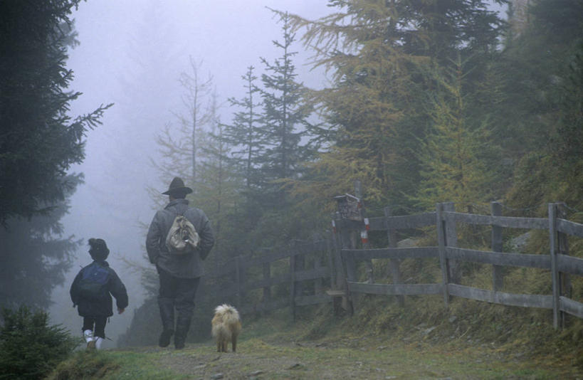 西方人,儿童,中年人,两个人,家庭,父亲,儿子,栏杆,走,横图,室外,白天,纯洁,草地,草坪,树林,植物,雾,宠物,狗,帽子,奥地利,欧洲,欧洲人,服装,朦胧,模糊,包,栅栏,篱笆,围栏,旅行包,休闲装,护栏,草,树,树木,一只,小孩,背面,衣服,绿色,天空,自然,动物,背包,遮阳帽,天,休闲,温暖,温馨,父子,一家人,休闲服,父爱,可爱,童年,童趣,服饰,生长,成长,迷雾,和睦,童真,烂漫,无邪,中欧,忠诚,奥地利共和国,蒂罗尔,蒂罗尔州,旅游包,天真,男孩,男人,男性,中年男性,白种人,孩子,大雾,犬,步行,散步,走路,彩图,全身,提洛州,因斯布鲁克县,融洽,双肩包,男生,阿克萨姆斯