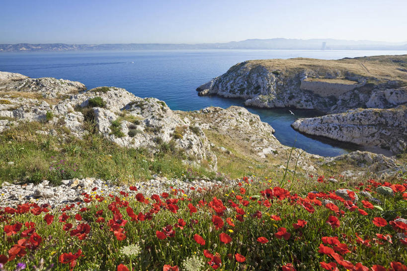 无人,横图,室外,白天,正面,旅游,度假,海浪,海洋,花海,花圃,石头,美景,山,山脉,植物,叶子,法国,欧洲,阴影,盛开,光线,石子,影子,景观,浪花,山峰,山峦,花蕾,娱乐,花,花瓣,花朵,花卉,鲜花,蓝色,绿色,蓝天,天空,阳光,自然,海水,花丛,花束,花田,群山,天,花苞,花蕊,享受,休闲,景色,放松,晴朗,西欧,法兰西,自然风光,海景,万里无云,法兰西共和国,法兰西第五共和国,普罗旺斯.阿尔卑斯.蓝色海岸,普罗旺斯.阿尔卑斯.蓝色海岸大区,罗讷河口省,罗讷河口,大海,风浪,海,海水的波动,近岸浪,石块,岩石,涌浪,晴空,晴空万里,彩图,莱斯佩尼斯米拉波