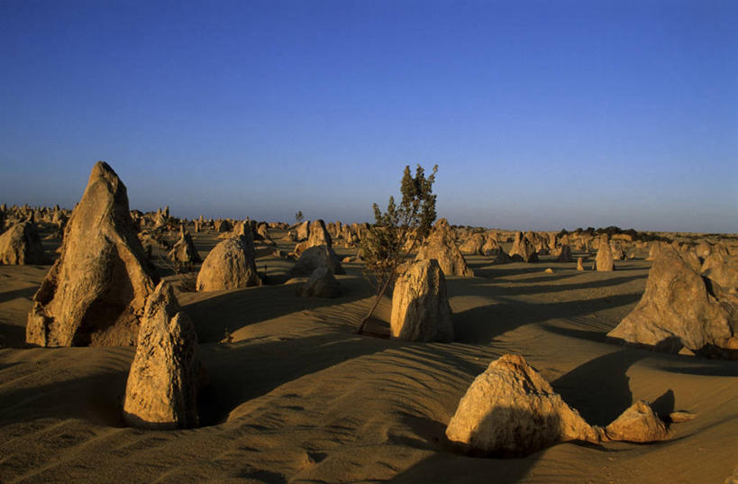 无人,公园,横图,室外,白天,正面,旅游,度假,石头,美景,沙漠,植物,澳大利亚,阴影,光线,石子,影子,景观,娱乐,树,树木,蓝色,绿色,蓝天,天空,阳光,自然,天,享受,休闲,景色,放松,生长,晴朗,成长,国家公园,自然风光,大洋洲,澳洲,万里无云,南方大陆,澳大利亚联邦,西澳大利亚,西澳大利亚州,南邦国家公园,大漠,砂漠,石块,岩石,晴空,晴空万里,彩图