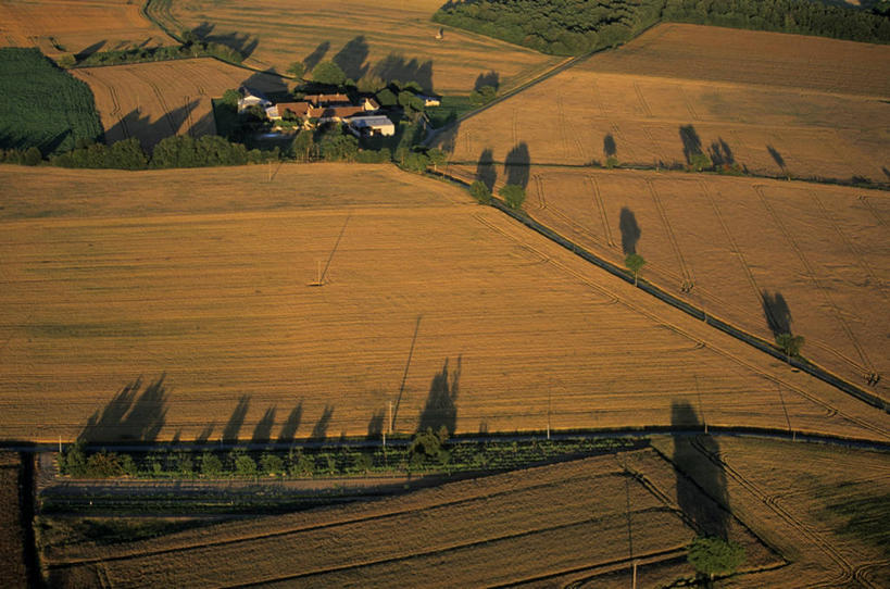无人,家,农田,横图,俯视,航拍,室外,白天,旅游,度假,庄稼,农作物,小麦,草地,草坪,美景,植物,法国,欧洲,阴影,光线,影子,房屋,屋顶,屋子,景观,谷物,麦田,顶棚,娱乐,楼房,住宅,草,树,树木,绿色,阳光,自然,享受,休闲,景色,放松,麦子,生长,成长,西欧,鸟瞰,法兰西,自然风光,法兰西共和国,法兰西第五共和国,普瓦图.夏朗德,普瓦图.夏朗德大区,维埃纳,彩图,高角度拍摄,耕地,庄稼田,房子,拉罗舍波赛,沙泰勒罗区