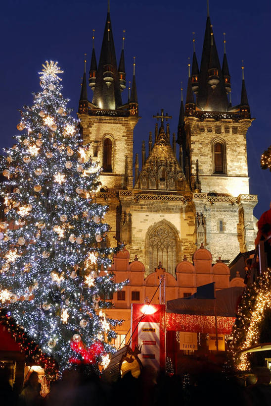 无人,教堂,竖图,室外,夜晚,仰视,旅游,度假,名胜古迹,植物,窗户,标志建筑,地标,建筑,夜景,照明,欧洲,捷克,圣诞节,阴影,节日,庆祝,遗迹,装饰,环绕,缠绕,光线,彩灯,挂饰,影子,墙,屋顶,灯光,圣诞树,圣诞球,首都,顶棚,古迹,文化,文物,娱乐,建设,古建筑,玻璃窗,墙壁,墙面,灯,球,树,树木,绿色,灰色,自然,灯具,祈祷,庆典,享受,休闲,健康,球体,旅游胜地,放松,许愿,宗教,花灯,信仰,生长,成长,纪念,华丽,修饰,祈求,照亮,点缀,照明设备,纠缠,信念,古文明,中欧,捷克共和国,旧城广场,布拉格广场,衬托,美观,雅致,雅观,布拉格,瓦茨拉夫广场,布拉格旧城广场,布拉格老城广场,提恩教堂,平安,彩图,低角度拍摄,大教堂,礼拜堂