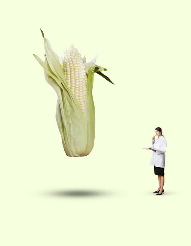 西方人,一个人,科学家,站,竖图,室内,白天,正面,玉米,蔬菜,叶子,欧洲,欧洲人,仅一个女性,仅一个人,握,服装,朦胧,模糊,新鲜,棒子,笔,材料,档案,文件,墙,玉蜀黍,食品,绿叶,办公用品,拿,拿着,注视,休闲装,墙壁,墙面,文具,食物,一个,衣服,黄色,学习用品,资料,观察,看,站着,仅一个中年女性,休闲,思考,休闲服,嫩叶,握着,摄影,服饰,有机食品,绿色食品,影棚,单个,观看,文具用品,苞米,察看,关注,文档,苞芦,苞谷,科学研究者,包谷,大蜀黍,番麦,薏米包,玉高粱,玉麦,珍珠米,思虑,女人,女性,中年女性,白种人,科学工作者,叶,叶片,站立,彩图,全身,影棚拍摄,拍摄