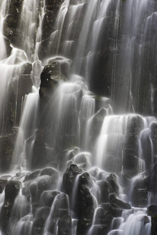无人,公园,横图,黑白,室外,白天,正面,旅游,度假,石头,美景,瀑布,山,山脉,水,植物,美国,阴影,飞溅,溅,光线,石子,液体,影子,景观,山峰,水滴,山峦,娱乐,水珠,树,树木,绿色,阳光,自然,群山,享受,休闲,景色,放松,生长,成长,北美,北美洲,国家公园,喷洒,自然风光,美洲,俄勒冈州,俄勒冈,北亚美利加洲,亚美利加洲,落日之州,水獭之州,海狸州,国家森林公园,胡德山,胡德山国家森林公园,跌水,石块,岩石