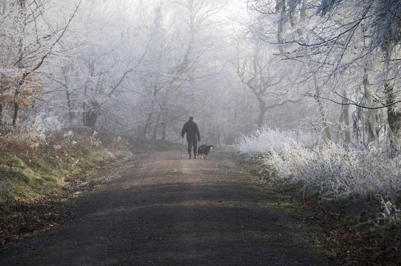 西方人,成年人,中年人,老年人,一个人,横图,室外,白天,神秘,美景,森林,雾,宠物,狗,欧洲,欧洲人,仅一个男性,仅一个人,仅一个中年男性,景观,霜,背面,自然,景色,寒冷,摄影,自然风光,透视图,赫里福德郡,男人,男性,中年男性,白种人,休闲活动,步行,彩图