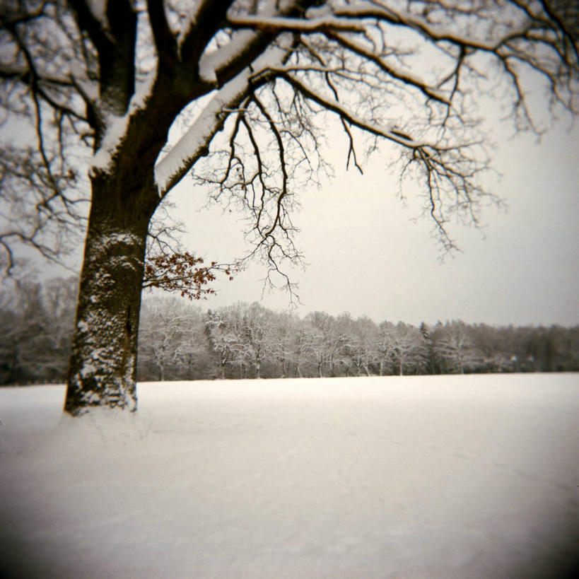 无人,方图,黑白,室外,白天,雪,德国,冬天,树,自然,寒冷,摄影,宁静,晕影