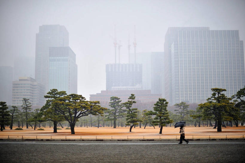 横图,室外,白天,建筑,东京,日本,伞,下雪,天气,首都,历史,树,天空,摄影,彩图