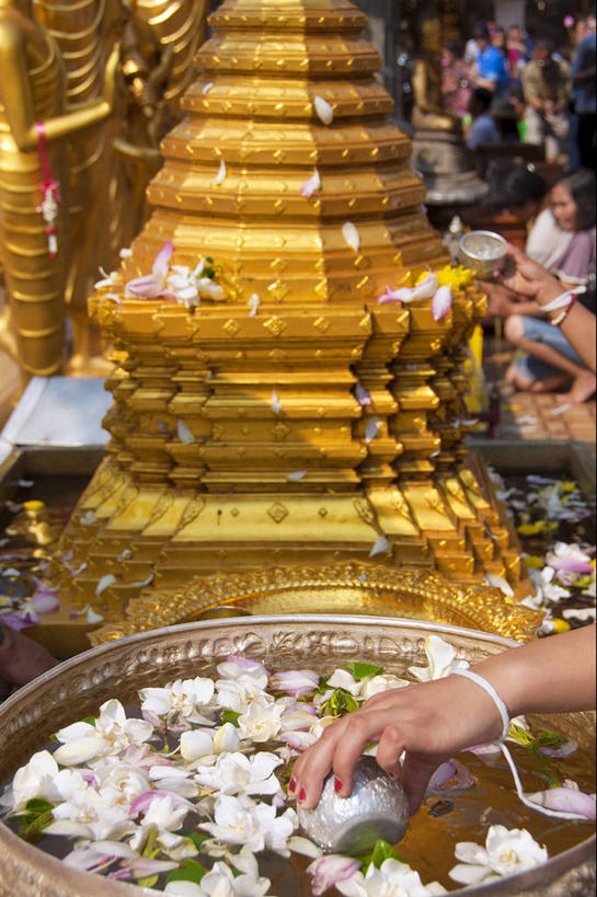 成年人,手,一个人,寺庙,竖图,室外,白天,水,泰国,仅一个女性,倒,漂浮,首都,佛塔,花,人体,摄影,佛教,宁静,部分,灵性,清迈省,彩图,传统文化,传统节日