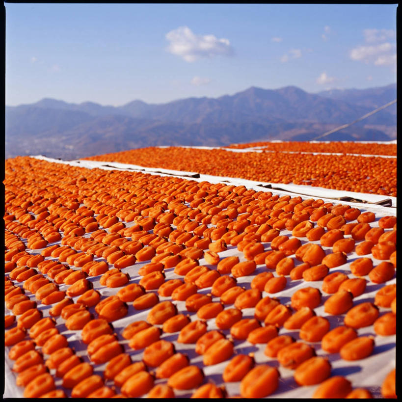 无人,方图,室外,重复,山,山脉,柿子,水果,日本,许多,丰富,日本文化,云,冬天,很多,饮食,风景,天空,自然,橙色,寒冷,摄影,健康食物,山梨县,烘干,彩图