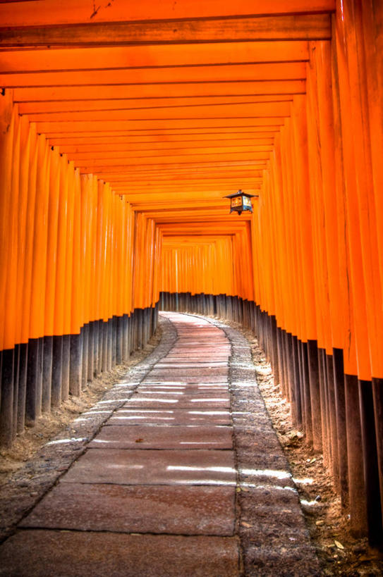无人,竖图,室外,白天,旅游,建筑,京都,日本,亚洲,一排,节日,日本文化,整齐,木制,柱子,大门,鸟居,小路,日本料理,文化,排列,祈祷,健康,许愿,摄影,宗教,信仰,京都府,纪念,神道,祈求,神殿,宗教建筑,队列,东亚,东亚文化,本州,本州岛,日本国,近畿地方,近畿,神道教,灵性,腐皮卷,伏见稻荷大社,伏见区,平安,彩图,旅行,传统文化