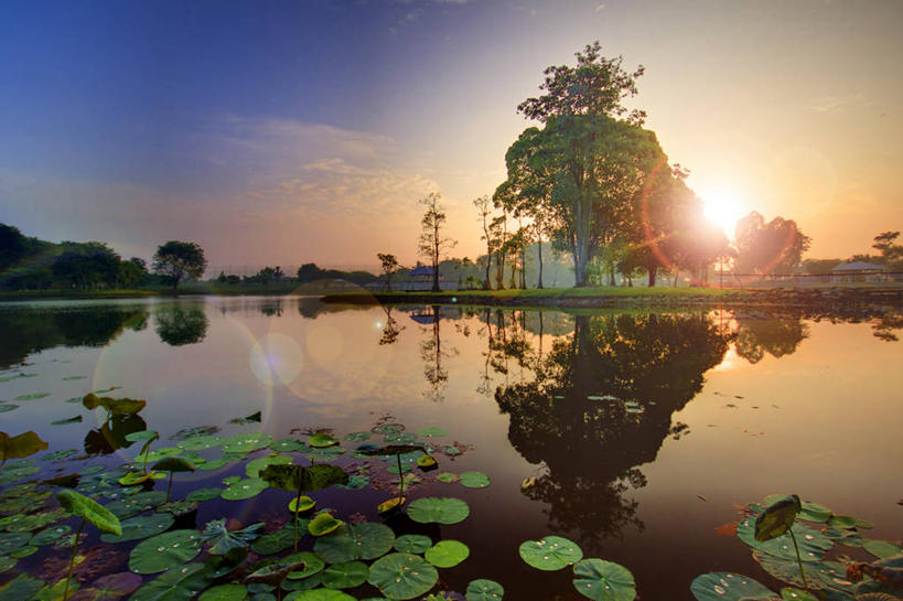 无人,横图,室外,镜头眩光,湖,太阳,叶子,日光,马来西亚,反射,云,树,风景,天空,自然,黄昏,摄影,宁静,水生植物,彩图