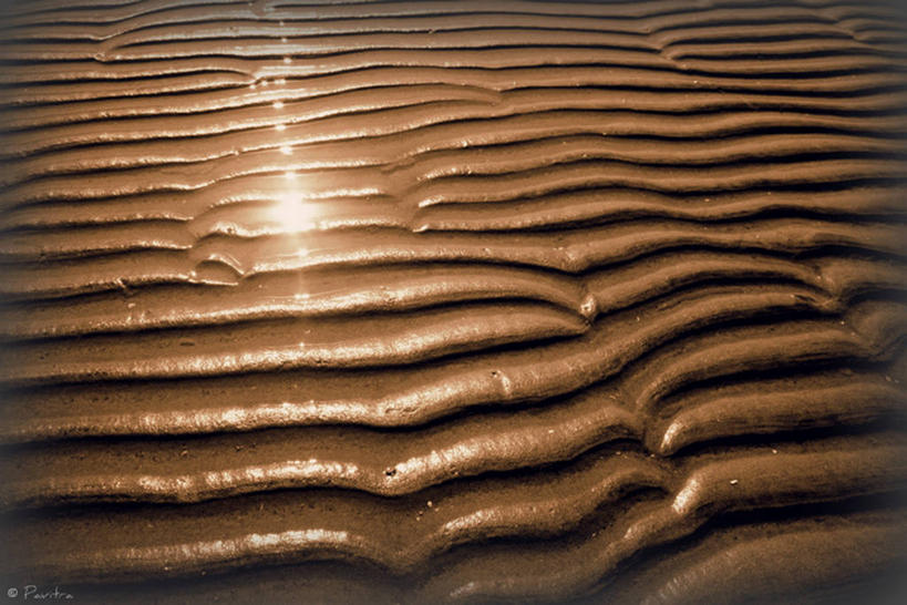 无人,横图,室外,白天,镜头眩光,美景,日光,印度,沙子,景观,风景,自然,景色,摄影,宁静,自然风光,马哈拉施特拉邦,海滩,彩图