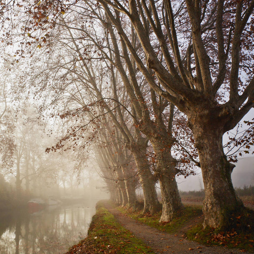 无人,方图,室外,美景,雾,法国,欧洲,反射,景观,黎明,自然,景色,摄影,宁静,运河,早晨,西欧,法兰西,自然风光,法兰西共和国,法兰西第五共和国,朗格多克.鲁西永,朗格多克.鲁西永大区,彩图,林荫大道,贝塞尔