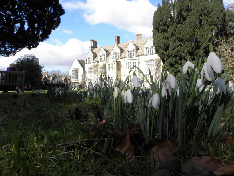 横图,室外,白天,建筑,英国,云,历史,草,花,树,天空,自然,摄影,宗教,基督教,宗教建筑,剑桥郡,修院,彩图