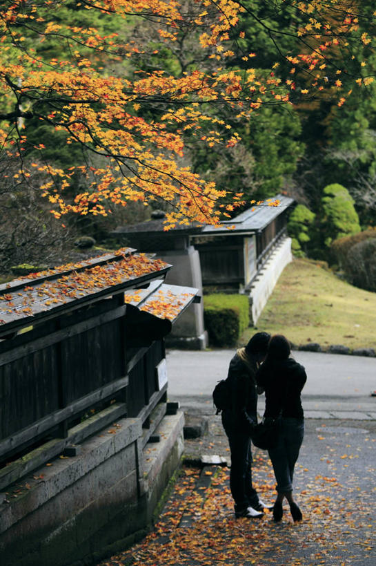成年人,两个人,站,竖图,室外,白天,路,叶子,日本,亚洲,连接,浪漫,树,摄影,落下,东亚,本州,枥木县,关东地方,本州岛,日本国,崎玉,崎玉县,异性恋,男人,女人,彩图,爱,日高市,伴侣