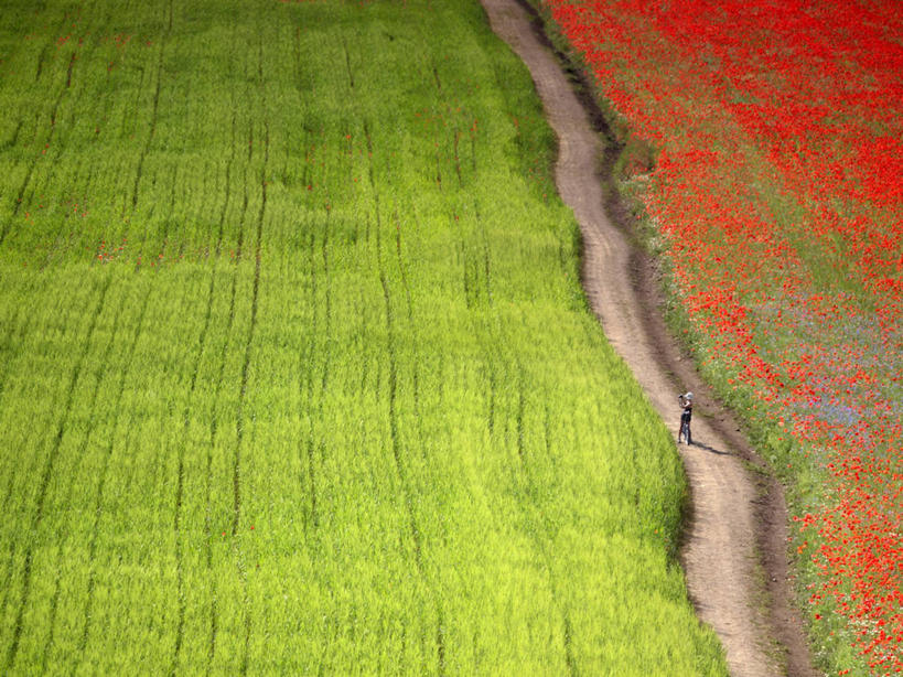 一个人,横图,俯视,室外,白天,农业,意大利,地形,田地,风景,自然,摄影,生长,多样,宁静,佩鲁贾,彩图,高角度拍摄