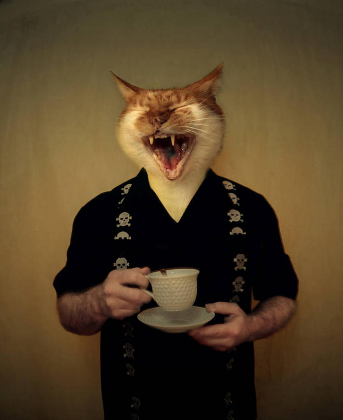 成年人,一个人,站,竖图,正面,宠物,猫,爱尔兰,仅一个男性,墙,首都,杯,拿着,数码合成,饮食,饮料,茶碟,打哈欠,家畜,摄影,幽默,半身,彩图