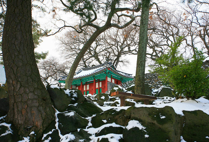 无人,横图,室外,白天,雪,建筑,济州岛,韩国,冬天,树,天空,寒冷,摄影,佛教,宁静,彩图