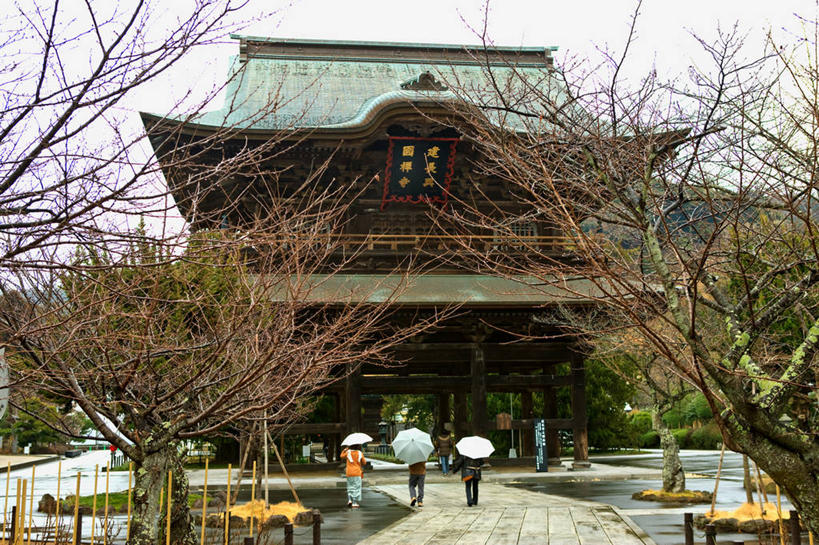 横图,室外,白天,建筑,日本,日本文化,历史,地标建筑,摄影,宗教,镰仓,步行,彩图