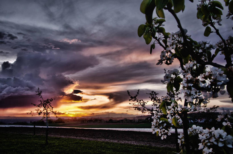 无人,横图,室外,美景,日光,德国,欧洲,景观,云,天气,花朵,树,风景,天空,自然,黄昏,春天,景色,摄影,西欧,自然风光,德意志联邦共和国,巴登.符腾堡,巴登.符腾堡州,巴符州,彩图