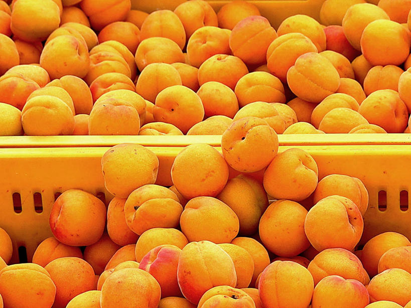 无人,横图,室内,特写,白天,水果,新西兰,许多,丰富,纸盒,首都,很多,饮食,容器,桃,零售,摄影,清新,健康食物,板条箱,惠灵顿