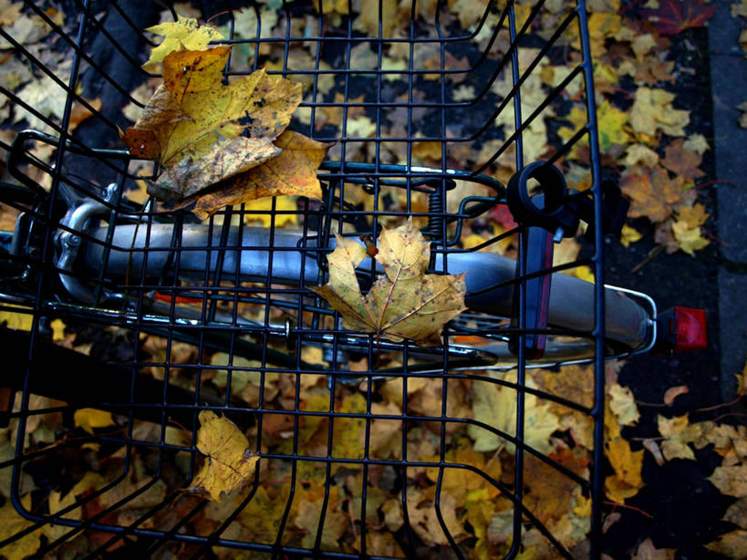 无人,横图,俯视,室外,白天,自行车,叶子,德国,篮子,汉堡,自然,运输,摄影,落下,部分,环境,改变,干的,中欧,秋天,高角度拍摄