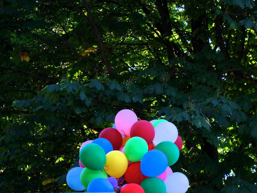 无人,公园,横图,室外,白天,留白,德国,许多,丰富,庆祝,装饰,汉堡,枝,很多,捆,树,排列,气球,摄影,多样,部分,中欧,彩图