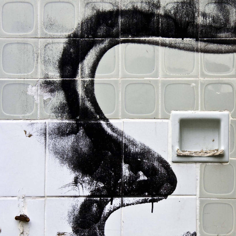 无人,方图,室内,白天,废弃,喷,飞溅,瓷砖,摄影,报废,涂料,废物,丢弃,放弃,抛弃,摈弃,彩图,涂鸦,屏弃,摈斥,摒除