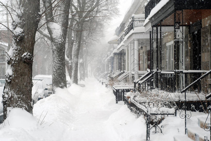无人,横图,室外,白天,汽车,加拿大,一排,整齐,房屋,冬天,下雪,人行道,郊区,树干,排列,寒冷,摄影,队列,透视图,雪堆,魁北克,蒙特利尔,彩图,门廊,林荫大道