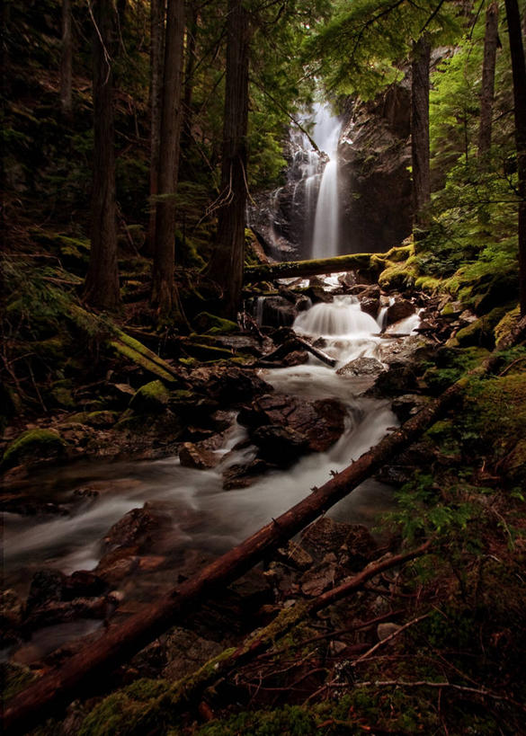 无人,竖图,室外,白天,美景,瀑布,森林,山,山脉,华盛顿,美国,景观,山峰,山峦,风景,小溪,自然,群山,景色,摄影,宁静,北美,北美洲,国家公园,自然风光,美洲,华盛顿州,常绿之州,常青州,北亚美利加洲,亚美利加洲,喀斯喀特山脉,北喀斯喀特山国家公园,北卡斯卡德山国家公园,北喀斯开国家公园,北瀑布国家公园,彩图,美利坚合众国
