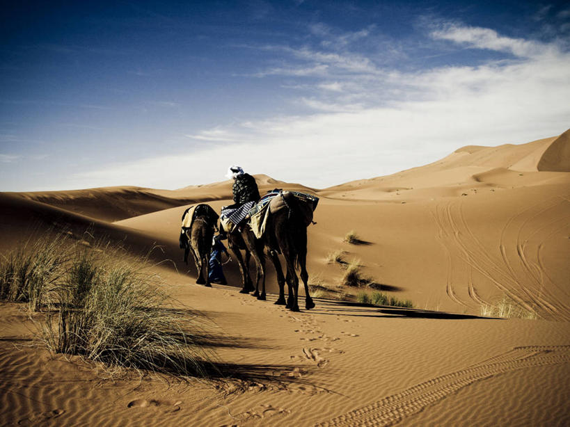 成年人,一个人,坐,横图,室外,白天,旅途,美景,沙漠,仅一个男性,沙子,地形,景观,沙丘,背面,自然,景色,摄影,自然风光,单峰骆驼,彩图