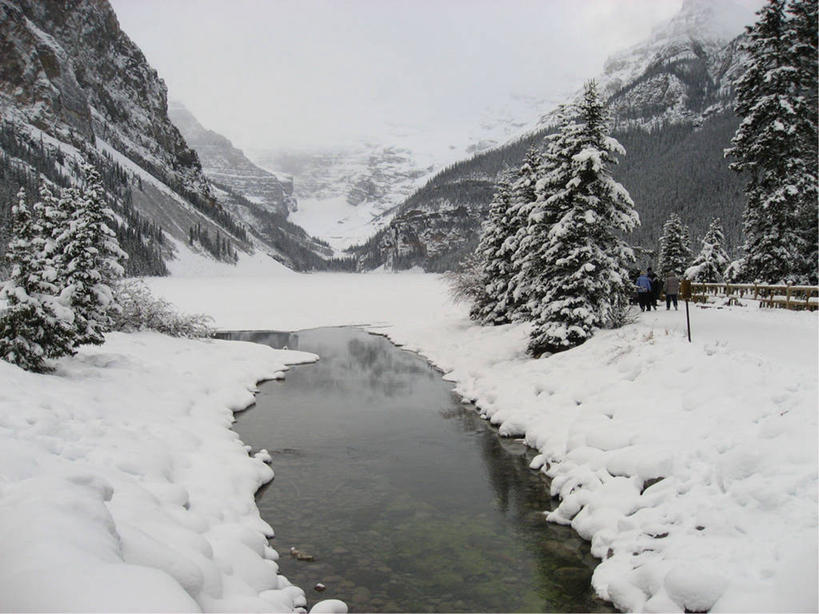 无人,横图,俯视,室外,白天,美景,森林,山,雪,加拿大,景观,冬天,白色,风景,小溪,自然,景色,摄影,宁静,自然风光,亚伯达,班夫,彩图,高角度拍摄