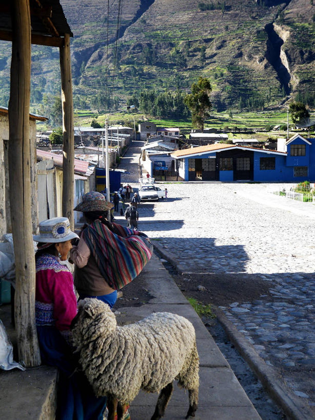 成年人,人群,坐,竖图,街道,哺乳动物,野生动物,帽子,秘鲁,阴影,房屋,乡村,城镇,人行道,动物,南美,摄影,生活方式,住房,简单,拉丁美洲,等,女人,岩石,绵羊,彩图,传统服装,居住区,传统文化,秘鲁人,脊椎动物亚门