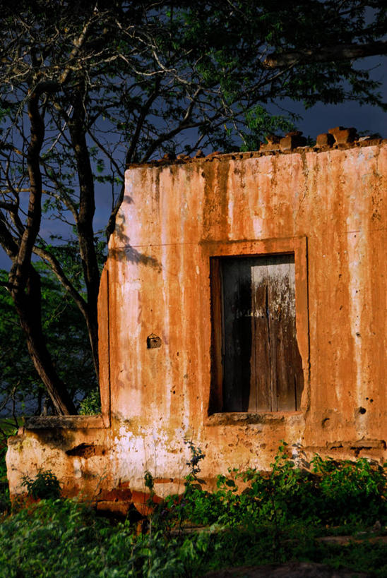 无人,竖图,室外,白天,夜晚,植物,建筑,巴西,废弃,破碎,房屋,墙,破坏,破损,废墟,树,南美,摄影,报废,粉碎,损坏,废物,毁坏,丢弃,放弃,抛弃,摧毁,阿拉戈斯,摈弃,彩图,屏弃,摈斥,摒除