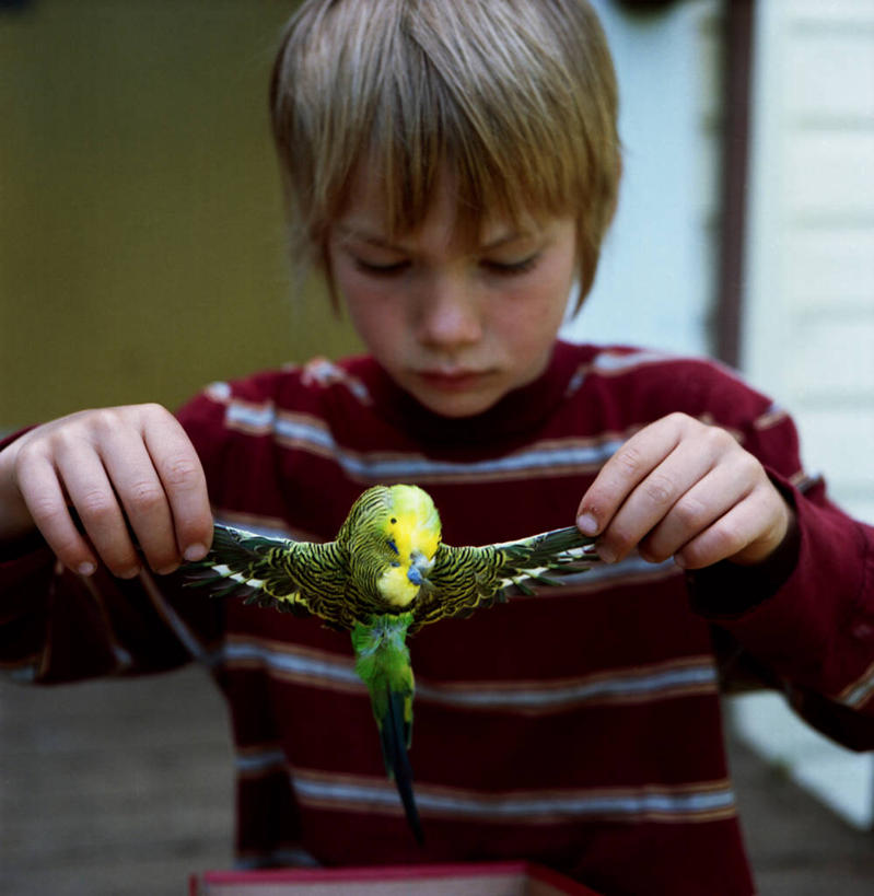 西方人,儿童,一个人,站,竖图,室外,白天,纯洁,宠物,鹦鹉,欧洲,美国,欧洲人,仅一个男性,仅一个人,拿着,注视,休闲装,小孩,衣服,动物,观察,看,仅一个小孩,家畜,可爱,童年,童趣,摄影,观看,死亡,察看,北美,北美洲,关注,美洲,童真,烂漫,无邪,俄勒冈州,波特兰,结束,北亚美利加洲,亚美利加洲,悲哀,长尾鹦鹉,天真,男孩,男人,男性,白种人,孩子,半身,美利坚合众国,男生