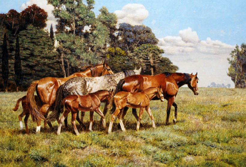 无人,横图,插画,室外,白天,牧场,数码,科技,草地,美景,马,油画,阴影,网络,景观,高光,几何,计算机图形,合成,图画,画,自然,动物,家畜,景色,电脑合成图,数码合成图,合成图,自然风光,漫画,驹,写实,具体,具象,彩图,林区