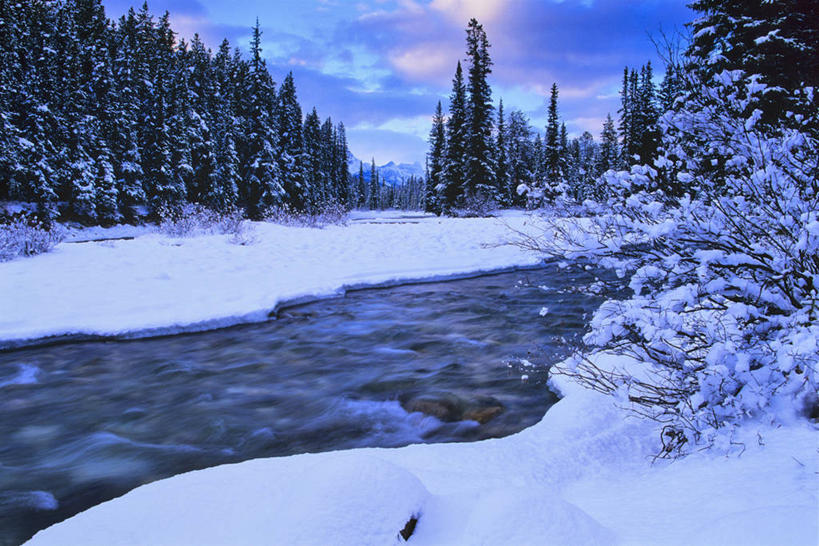 无人,横图,室外,白天,旅游,度假,河流,美景,森林,雪,加拿大,景观,流水,冬天,娱乐,树,风景,自然,享受,休闲,景色,放松,寒冷,季节,摄影,宁静,北美,国家公园,自然风光,班夫国家公园,洛矶山脉,弓河,加拿大落基山脉,亚伯达,彩图