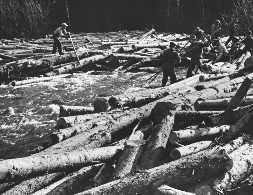 成年人,人群,横图,黑白,室外,白天,河流,水,加拿大,朦胧,模糊,木制,工人,背面,职业,摄影,北美,圆木,雪堆,男人,员工,匠人,劳动者,体力工