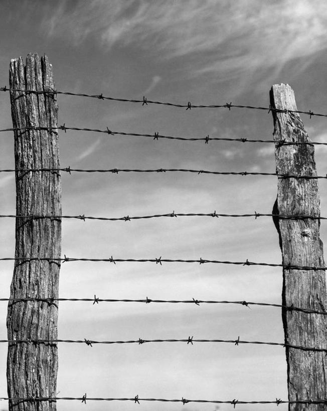 无人,竖图,黑白,室外,特写,白天,安全,锐利,篱笆,云,天空,木桩,摄影,保护,锋利,尖锐,危险,带刺铁丝网