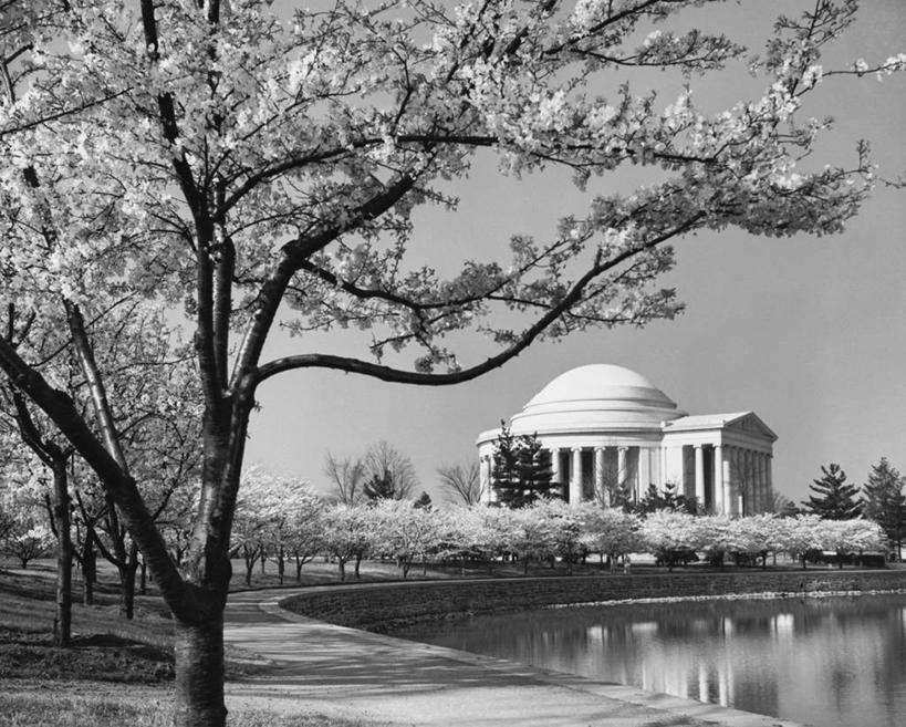 无人,码头,横图,黑白,室外,白天,河流,水,城市,港口,建筑,樱花,美国,阴影,柱子,纪念碑,枝,首都,古典,樱桃树,历史,天空,春天,季节,摄影,纪念,留念,北美,圆顶建筑,怀念,荣誉,华盛顿特区,波托马克河,柱廊,摆渡口,埠头,渡口,渡头,港湾,海港,货运码头,口岸,商港,过去