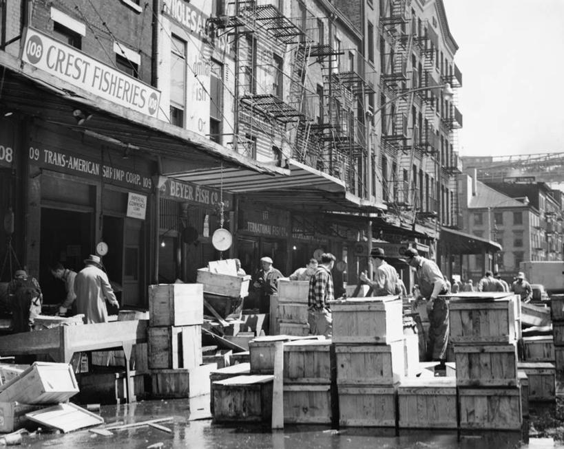 人群,横图,黑白,室外,白天,商务,渔业,街道,纽约,美国,朦胧,模糊,木制,牌子,许多人,招牌,一群人,零售,工业,摄影,北美,纽约州,鱼市,店标