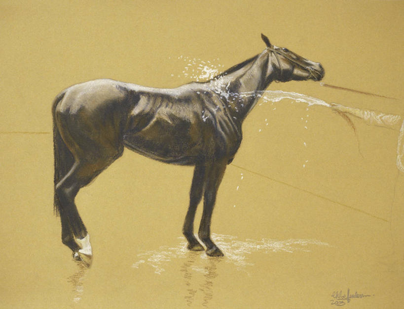 成年人,手,一个人,站,横图,插画,白天,侧面,数码,科技,水,仅一个男性,喷,湿,阴影,反射,网络,高光,几何,计算机图形,合成,图画,拿着,蜡笔画,画,家畜,人体,软管,电脑合成图,数码合成图,缰绳,合成图,关爱,漫画,写实,具体,具象,赛马,洗涤,彩图