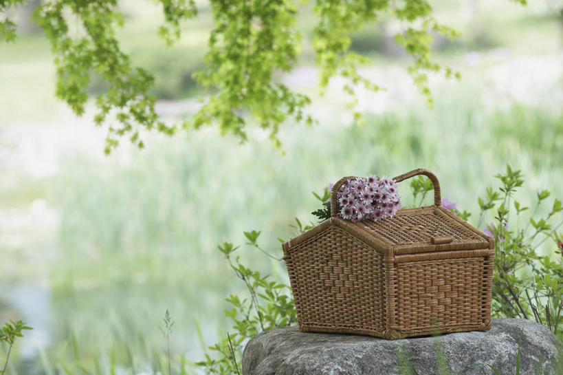 无人,交叉,横图,室外,白天,正面,草地,草坪,石头,美景,植物,竹子,阴影,竹制,朦胧,模糊,盛开,编织,光线,篮子,石子,影子,景观,花蕾,草,花,花瓣,花朵,鲜花,绿色,阳光,自然,竹篮,花苞,花蕊,景色,竹条,交织,竹制品,自然风光,食物篮,穿插,石块,岩石,彩图,野餐篮