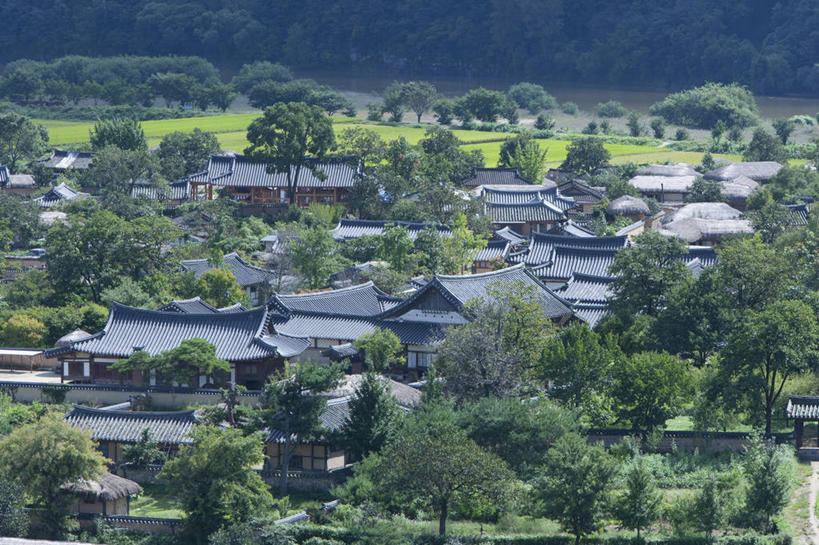 无人,横图,室外,白天,正面,旅游,度假,美景,树林,植物,朝鲜,韩国,亚洲,阴影,光线,影子,屋顶,景观,顶棚,娱乐,树,树木,绿色,阳光,自然,享受,休闲,景色,放松,生长,成长,自然风光,东亚,大韩民国,朝鲜半岛,朝鲜民主主义人民共和国,韩半岛,彩图