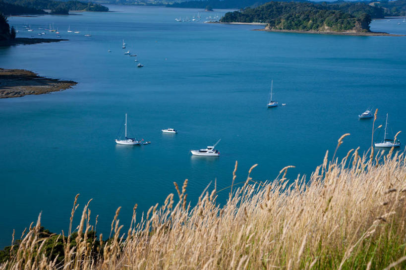 无人,横图,俯视,室外,白天,旅游,度假,草地,草坪,海浪,海洋,美景,植物,船,芦苇,阴影,波纹,飞溅,溅,光线,液体,影子,景观,浪花,水滴,游艇,娱乐,水珠,草,绿色,水纹,阳光,自然,海水,船尾波,交通工具,波浪,享受,休闲,景色,放松,四艘,喷洒,自然风光,载具,海景,芦芛,芦,苇,大海,风浪,海,海水的波动,近岸浪,涌浪,彩图,高角度拍摄